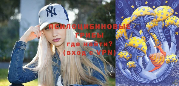 гашик Алексин